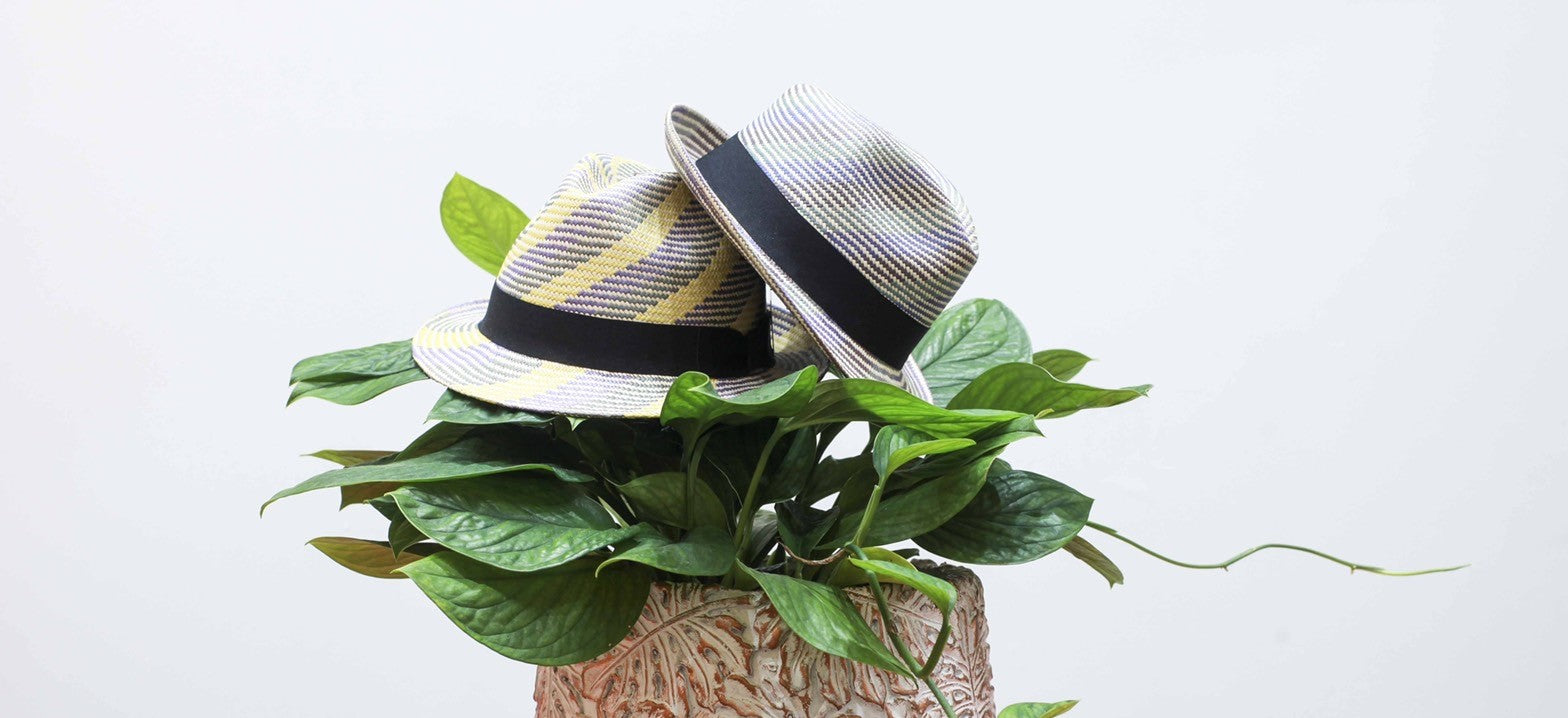 Panama Hat<パナマハット>