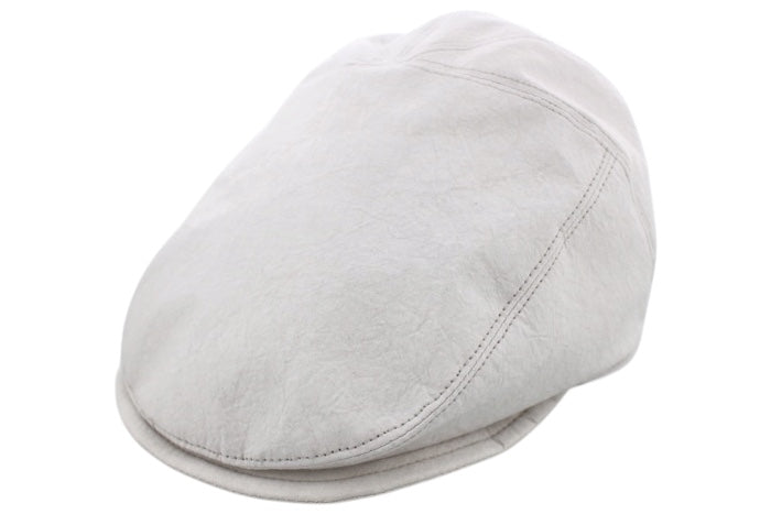 サニードライブS (Sanny drive S)