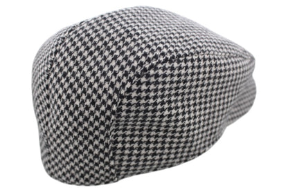 ホログラム宇宙論HG(Holographic cosmology HG)